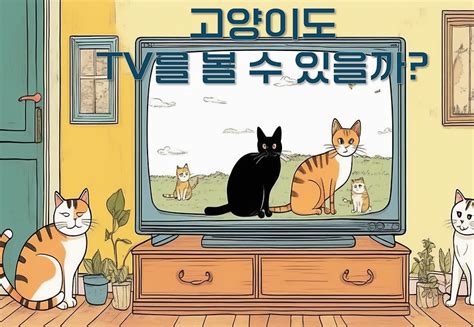 cctv 설치, 고양이도 감시할 수 있을까?