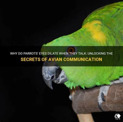  Ujuani and the Talking Parrot: Unveiling the Secrets of Communication Beyond Words!